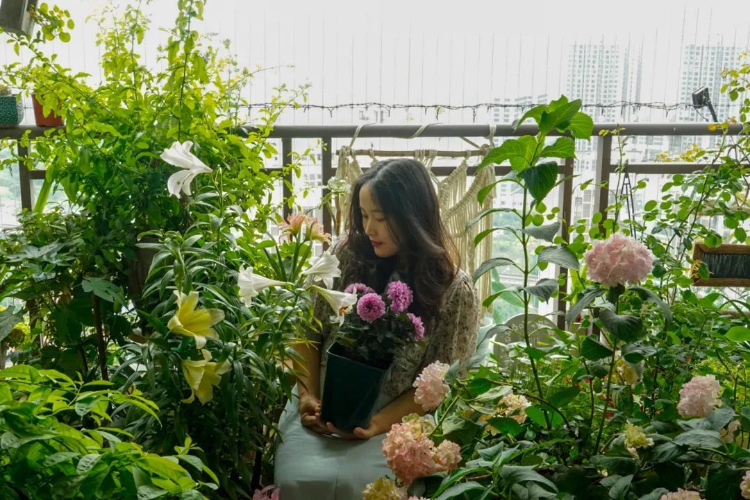 7年摸爬滚打，10㎡高层小阳台终于四季开满鲜花
